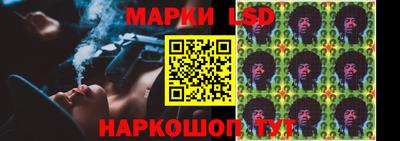 стафф Новозыбков
