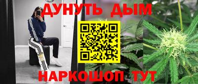 стафф Новозыбков