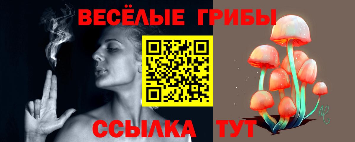 Галлюциногенные грибы мухоморы Саяногорск